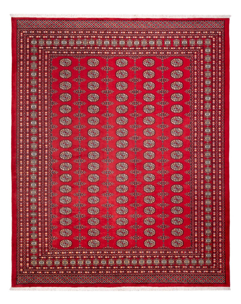 Afghan Rug - Bukhara - 310 x 250 cm - red