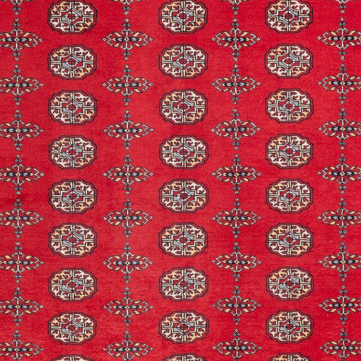 Afghan Rug - Bukhara - 310 x 250 cm - red