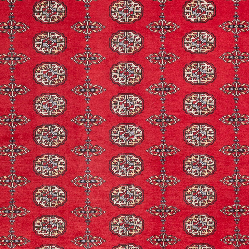 Afghan Rug - Bukhara - 310 x 250 cm - red