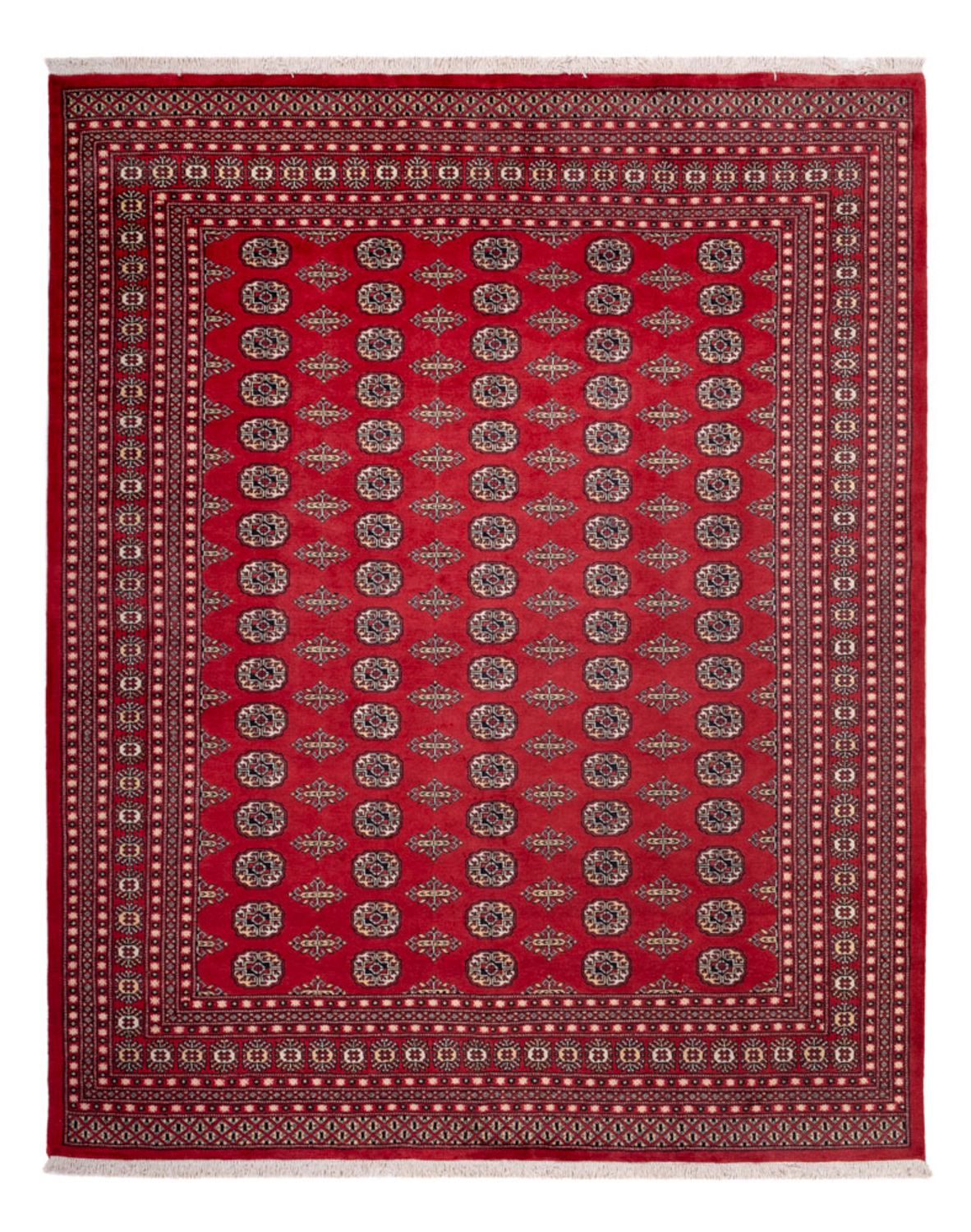 Afghan Rug - Bukhara - 315 x 248 cm - red