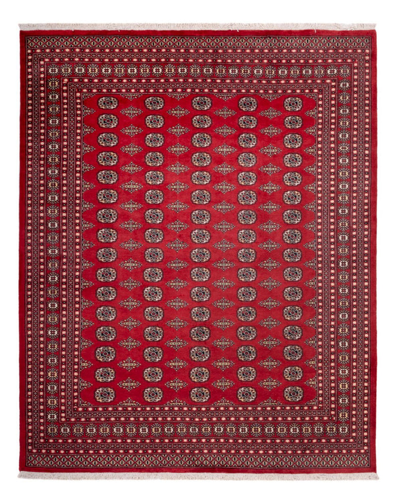 Afghan Rug - Bukhara - 315 x 248 cm - red