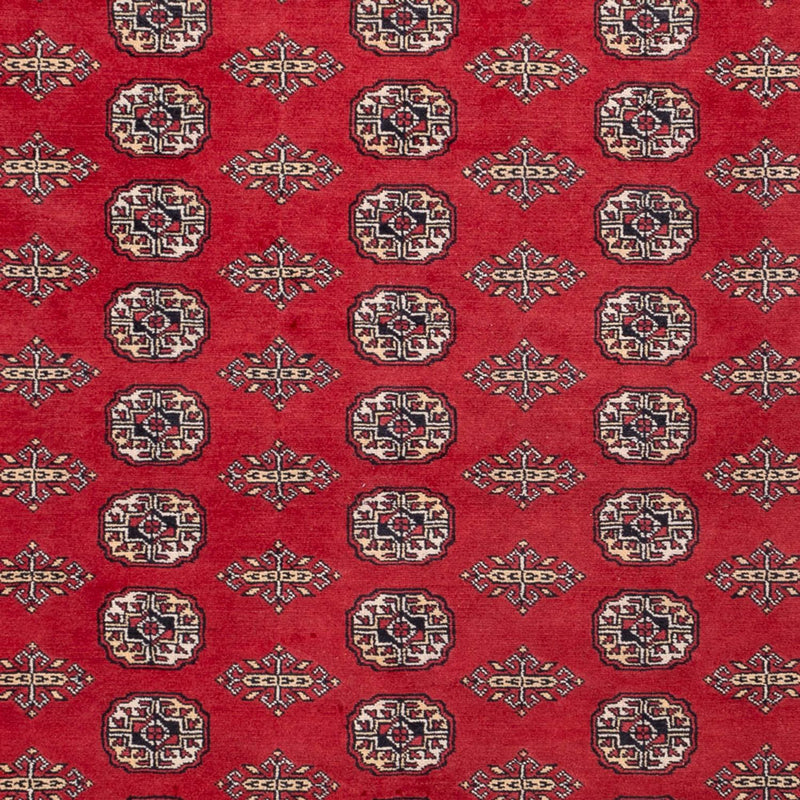Afghan Rug - Bukhara - 315 x 248 cm - red