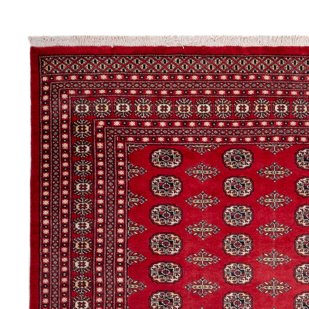 Afghan Rug - Bukhara - 315 x 248 cm - red