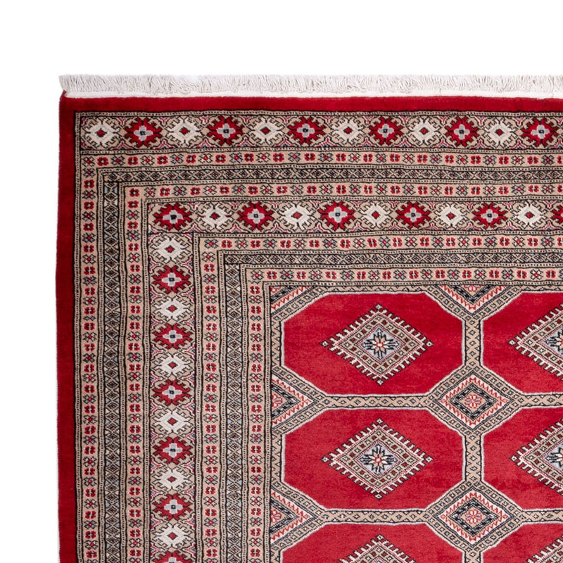 Afghan Rug - Bukhara - 287 x 220 cm - red