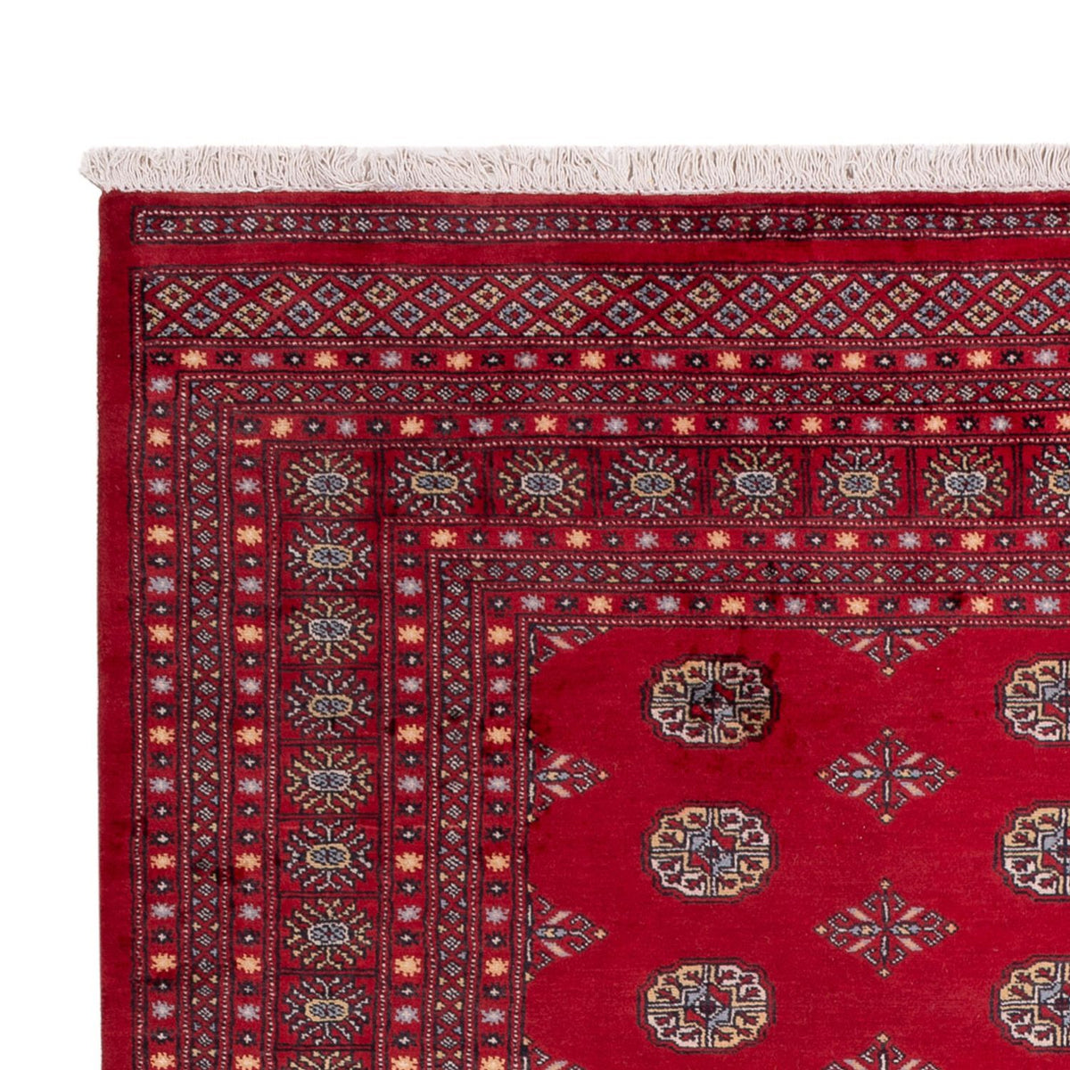 Afghan Rug - Bukhara - 307 x 202 cm - red