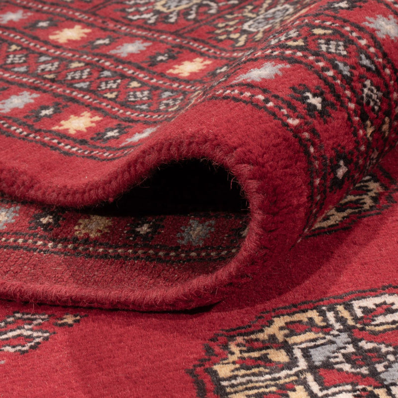 Afghan Rug - Bukhara - 307 x 202 cm - red