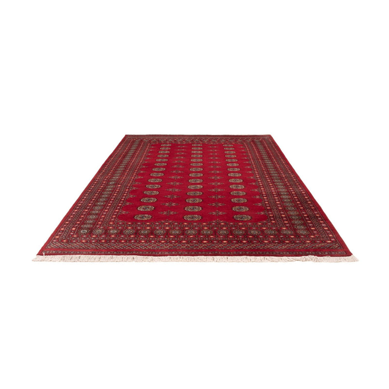 Afghan Rug - Bukhara - 307 x 202 cm - red