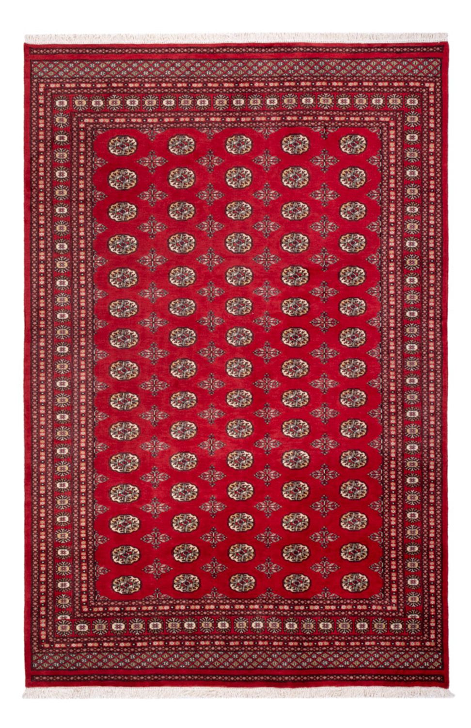Afghan Rug - Bukhara - 298 x 198 cm - red