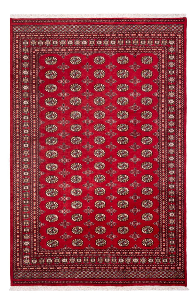 Afghan Rug - Bukhara - 298 x 198 cm - red