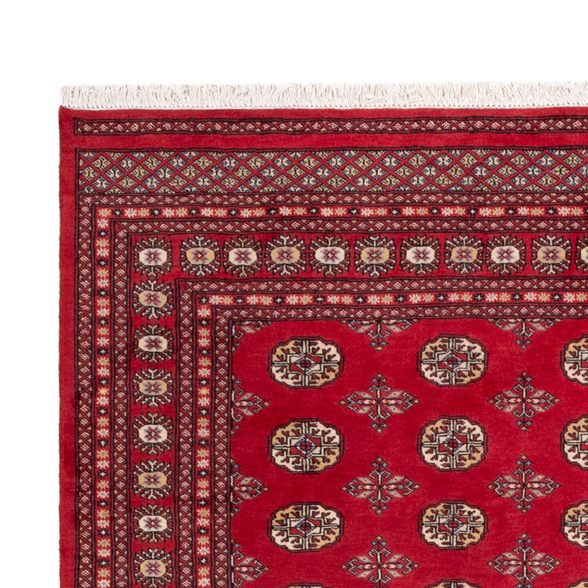 Afghan Rug - Bukhara - 298 x 198 cm - red