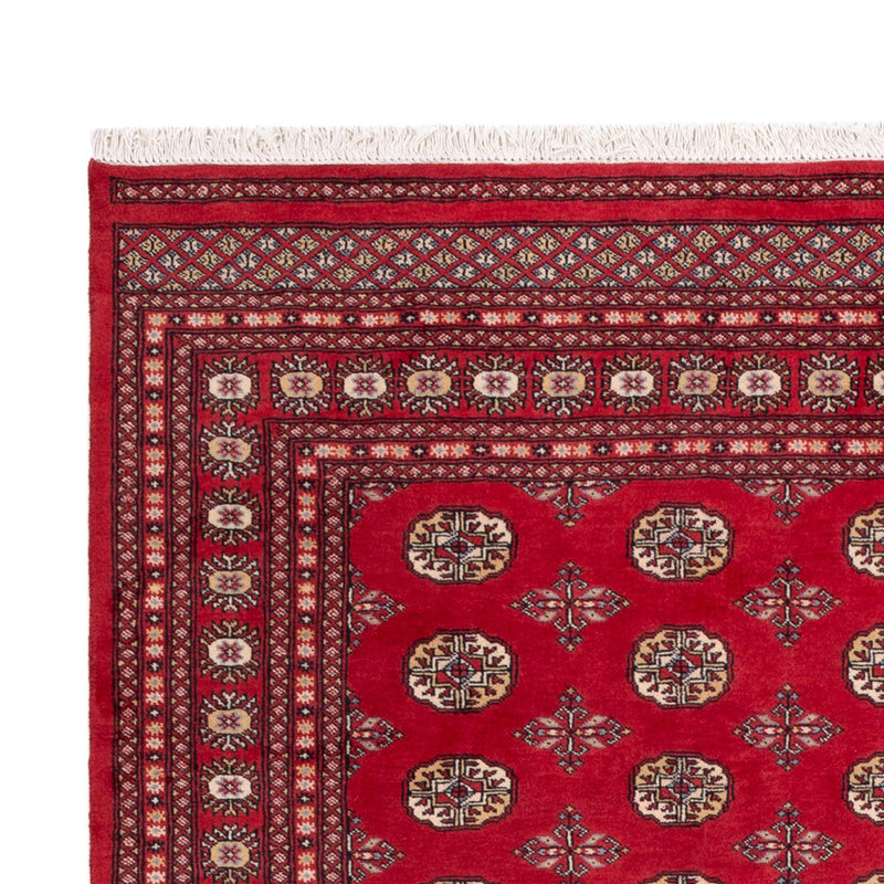 Afghan Rug - Bukhara - 298 x 198 cm - red