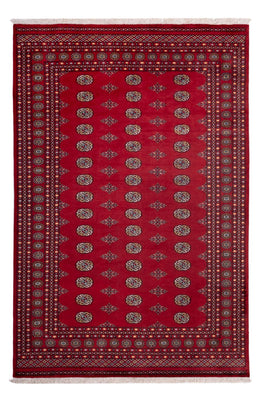Afghan Rug - Bukhara - 302 x 202 cm - red
