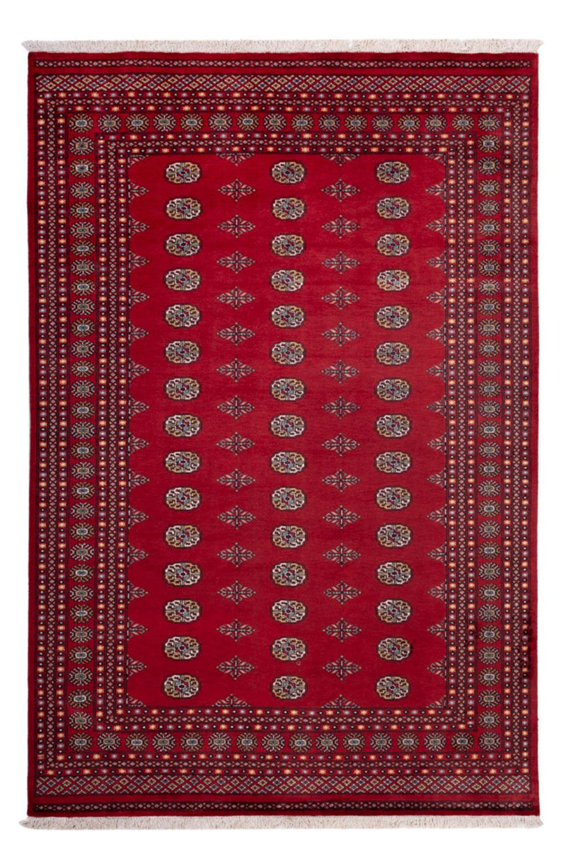Afghan Rug - Bukhara - 302 x 202 cm - red