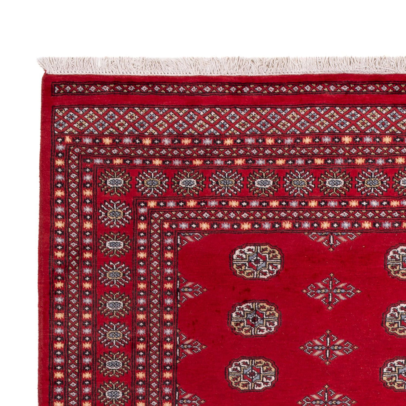 Bukhara Rug 303x205cm - Oriental Rug