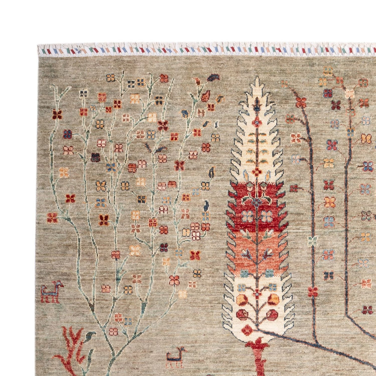 Ziegler Rug - Ariana - 301 x 205 cm - sand