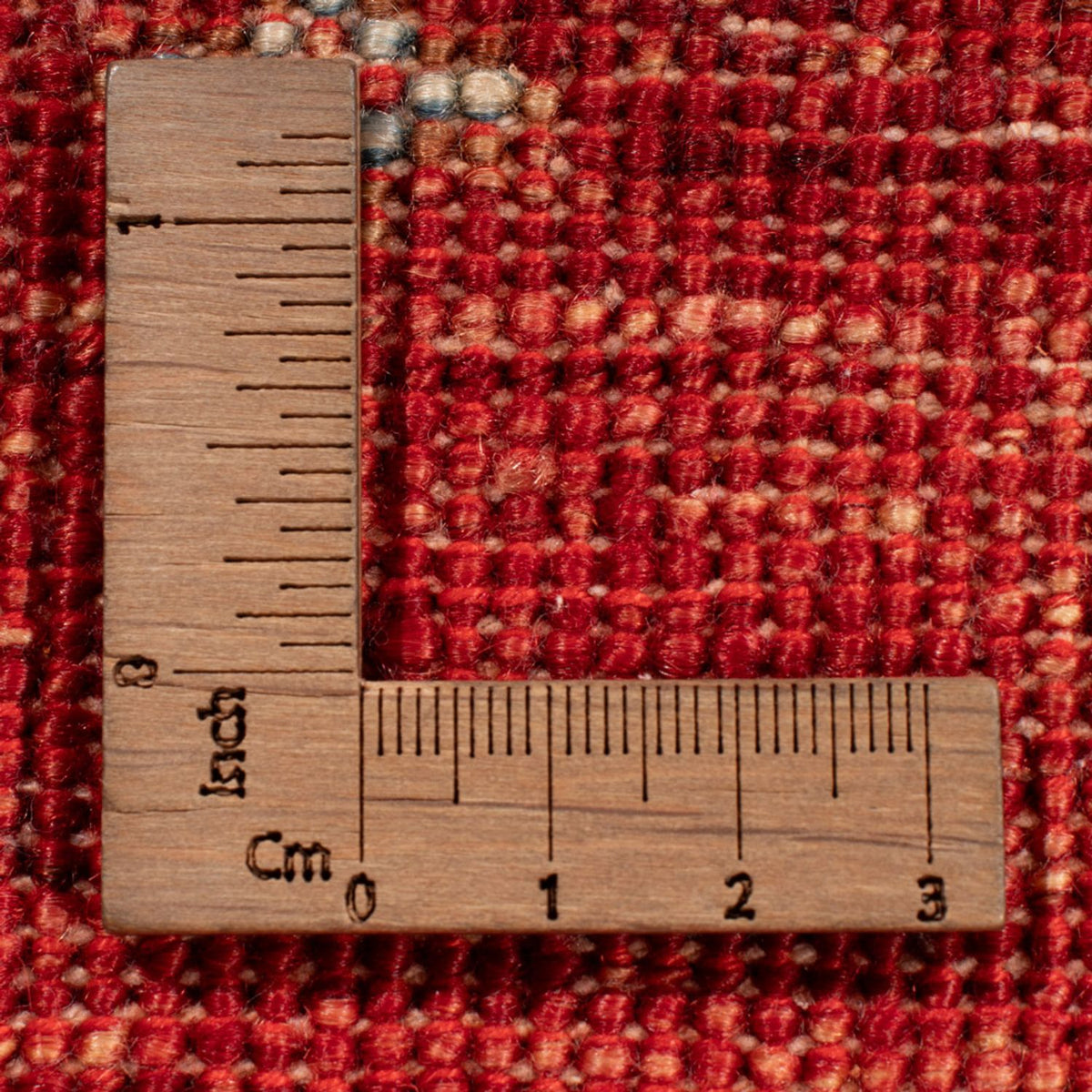 Ziegler Rug - Ariana - 294 x 207 cm - red