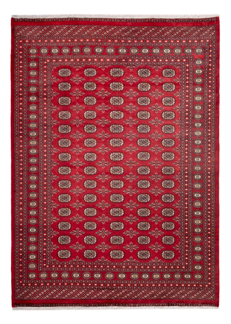 Afghan Rug - Bukhara - 297 x 220 cm - red