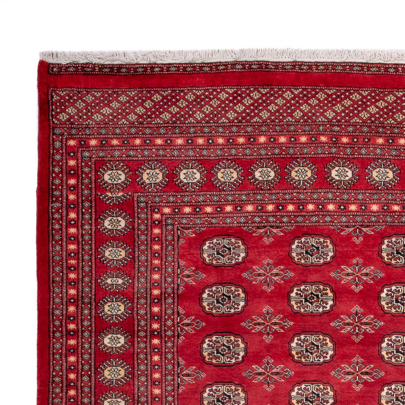 Buchara Teppich 297x220cm - Orientteppich