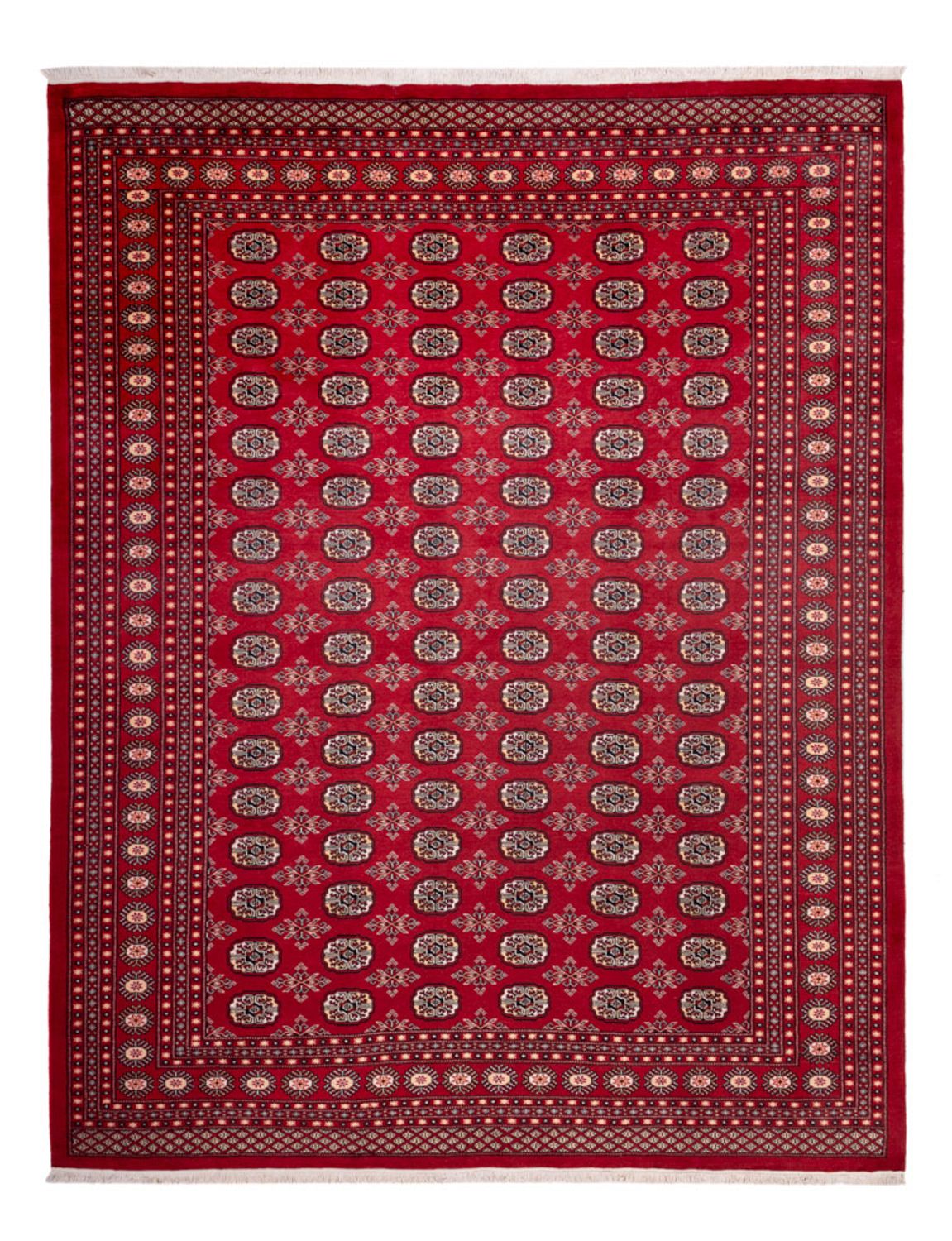 Afghan Rug - Bukhara - 322 x 248 cm - red