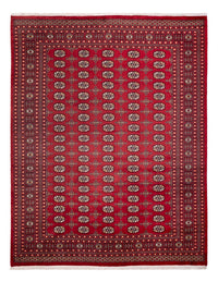 Afghan Rug - Bukhara - 312 x 245 cm - red