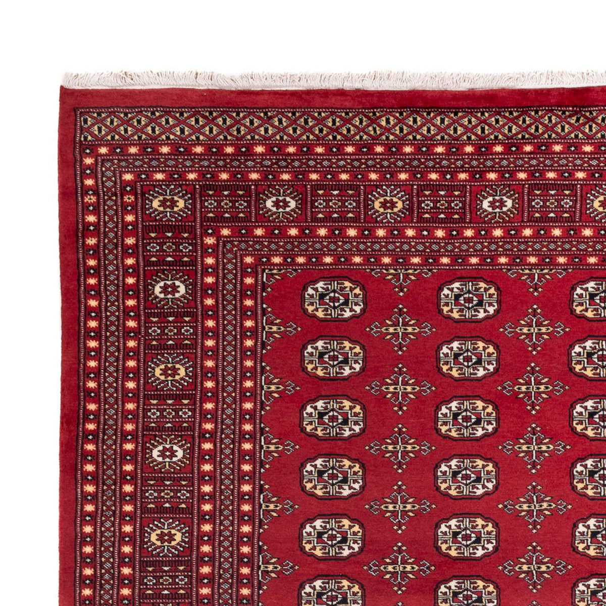 Afghan Rug - Bukhara - 312 x 245 cm - red