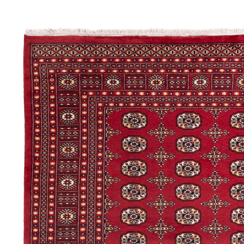 Afghan Rug - Bukhara - 312 x 245 cm - red