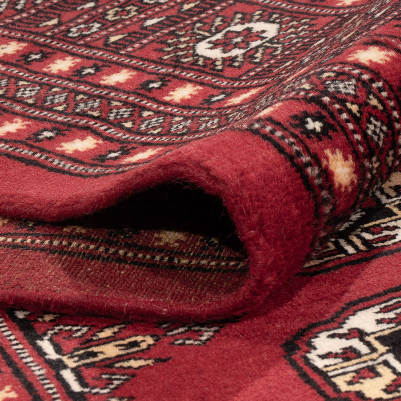 Afghan Rug - Bukhara - 312 x 245 cm - red