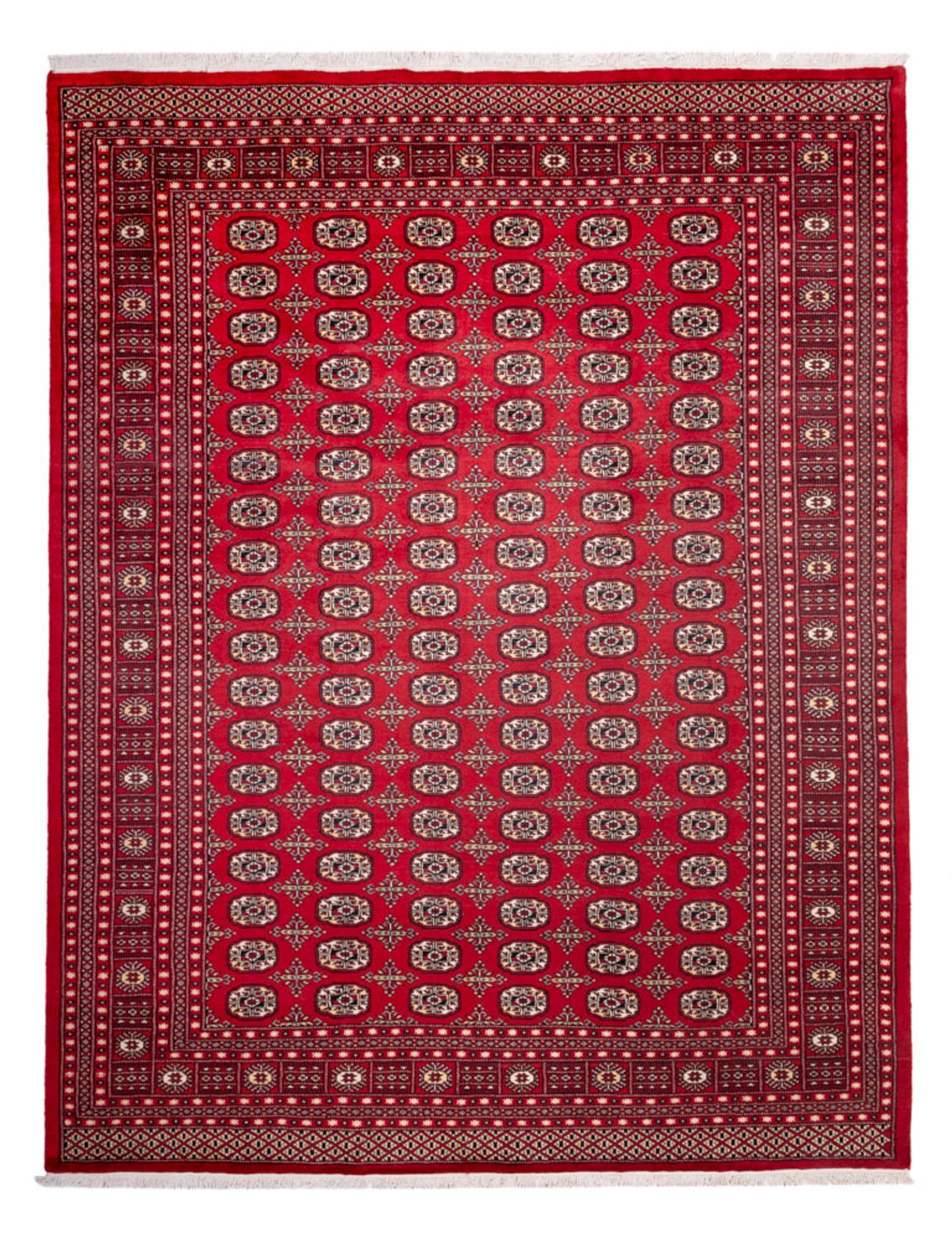 Afghan Rug - Bukhara - 311 x 243 cm - red