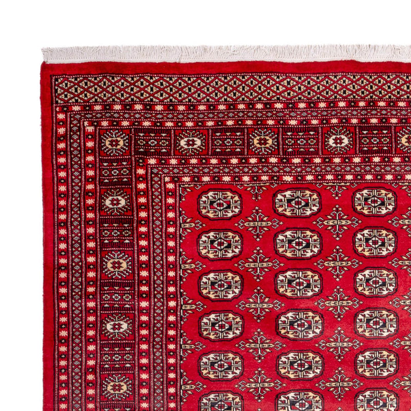 Afghan Rug - Bukhara - 311 x 243 cm - red