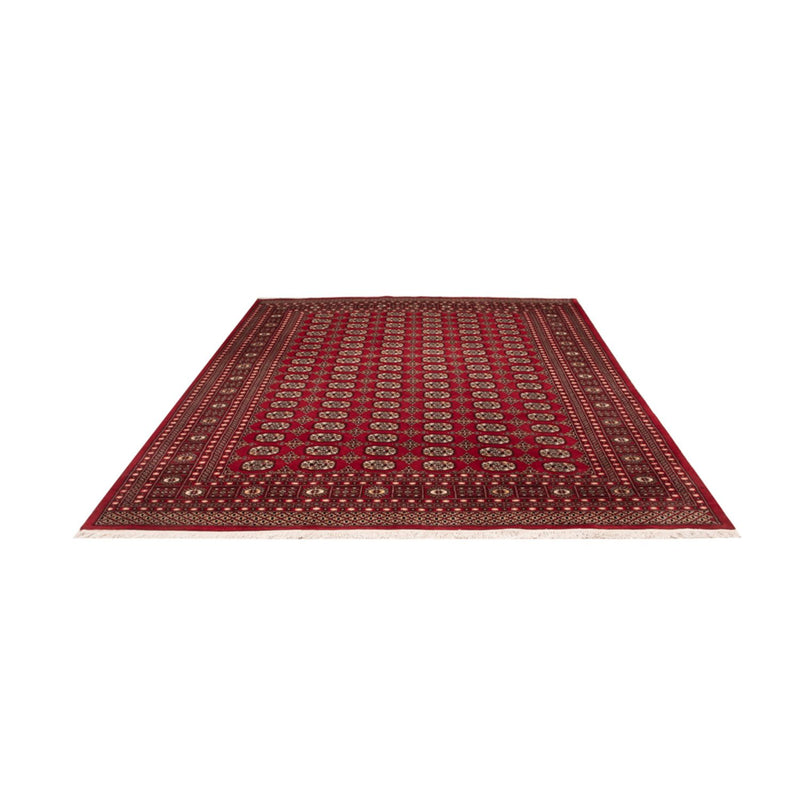 Afghan Rug - Bukhara - 311 x 243 cm - red