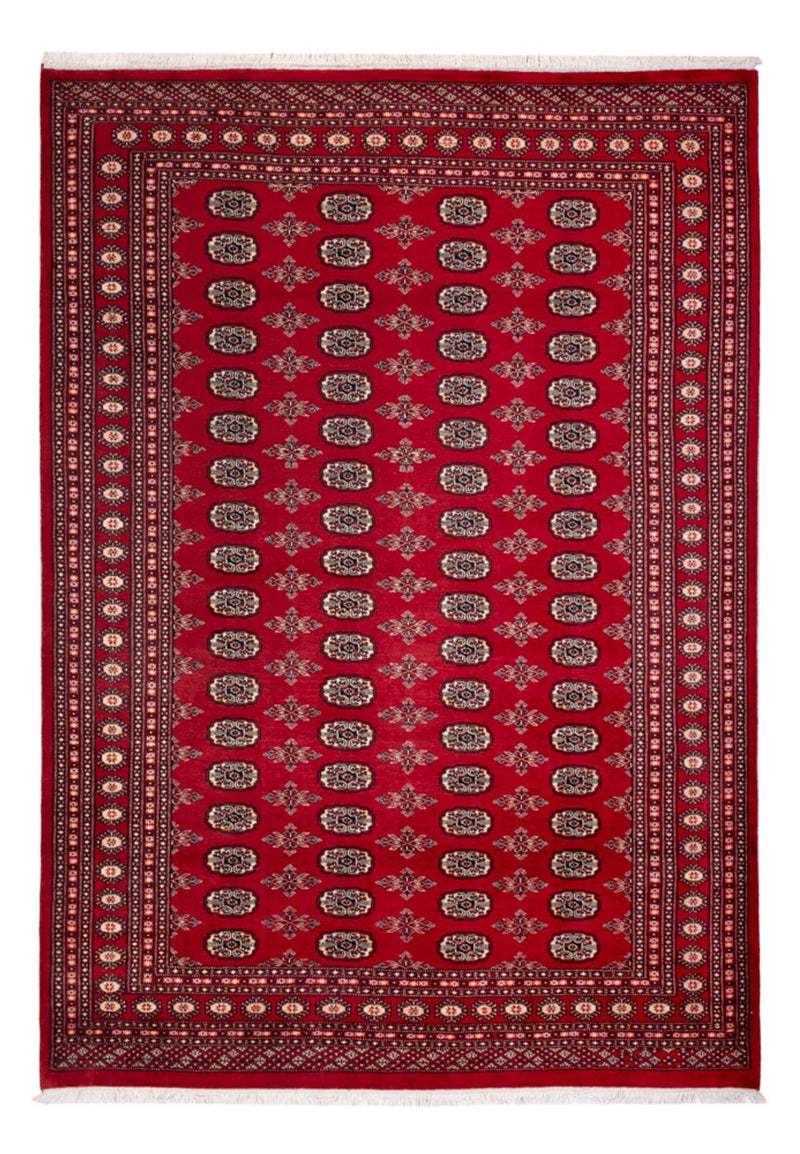 Afghan Rug - Bukhara - 297 x 213 cm - red