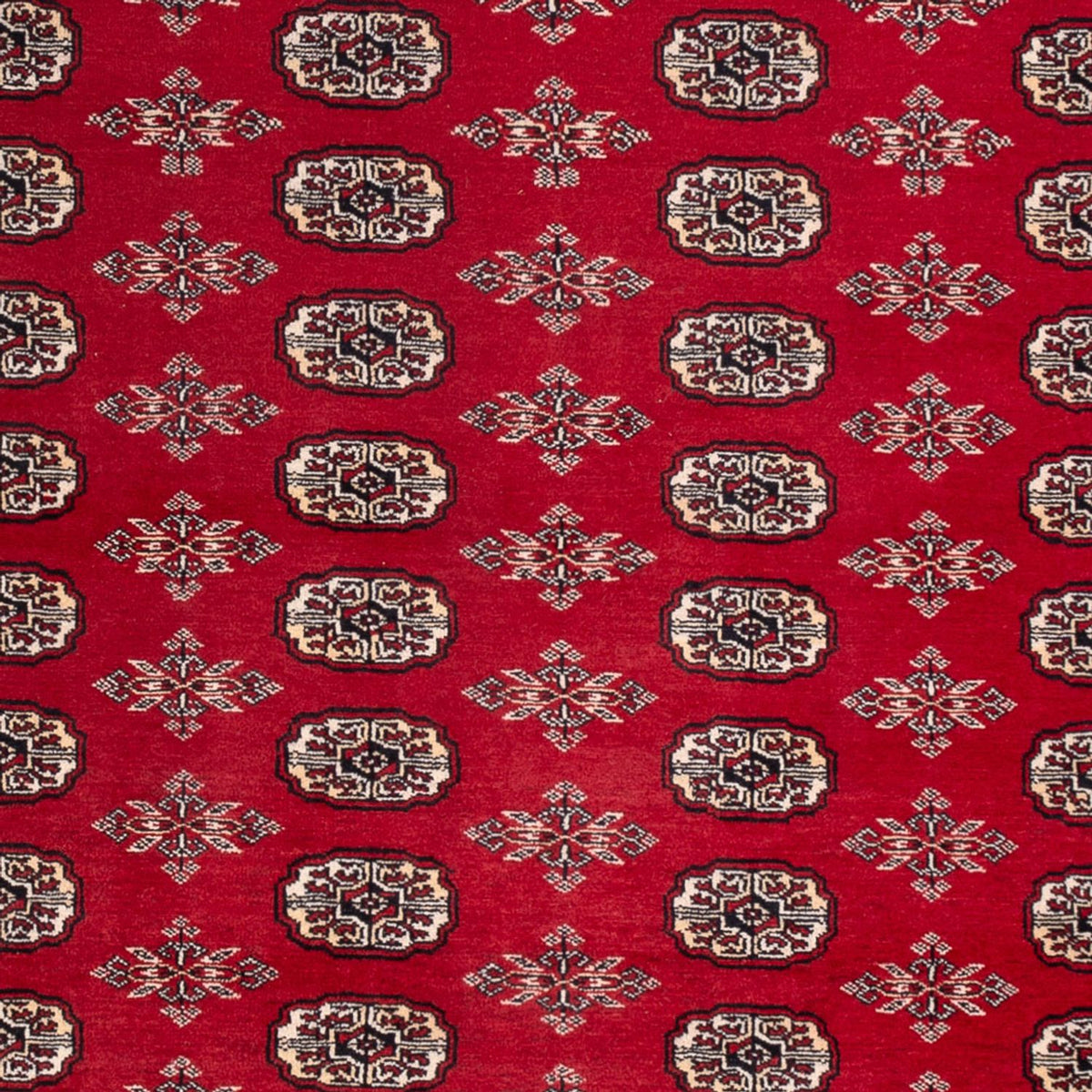 Afghan Rug - Bukhara - 297 x 213 cm - red