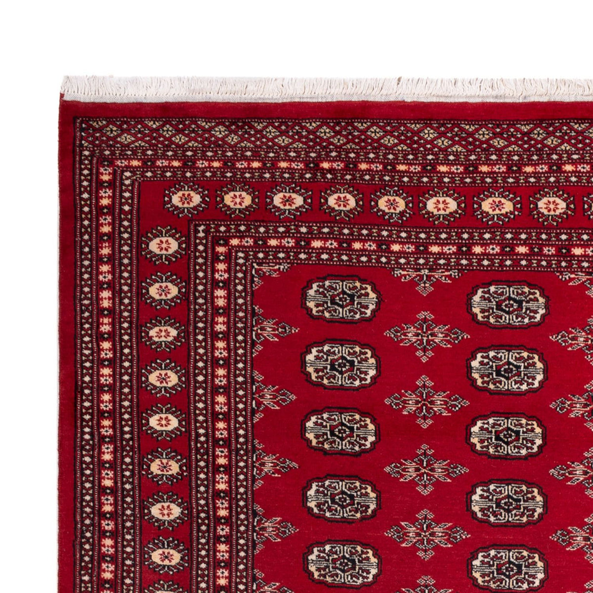 Afghan Rug - Bukhara - 297 x 213 cm - red