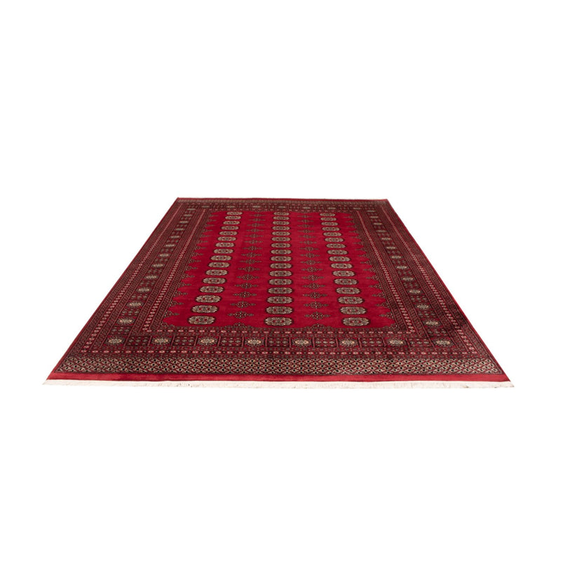 Afghan Rug - Bukhara - 306 x 197 cm - red