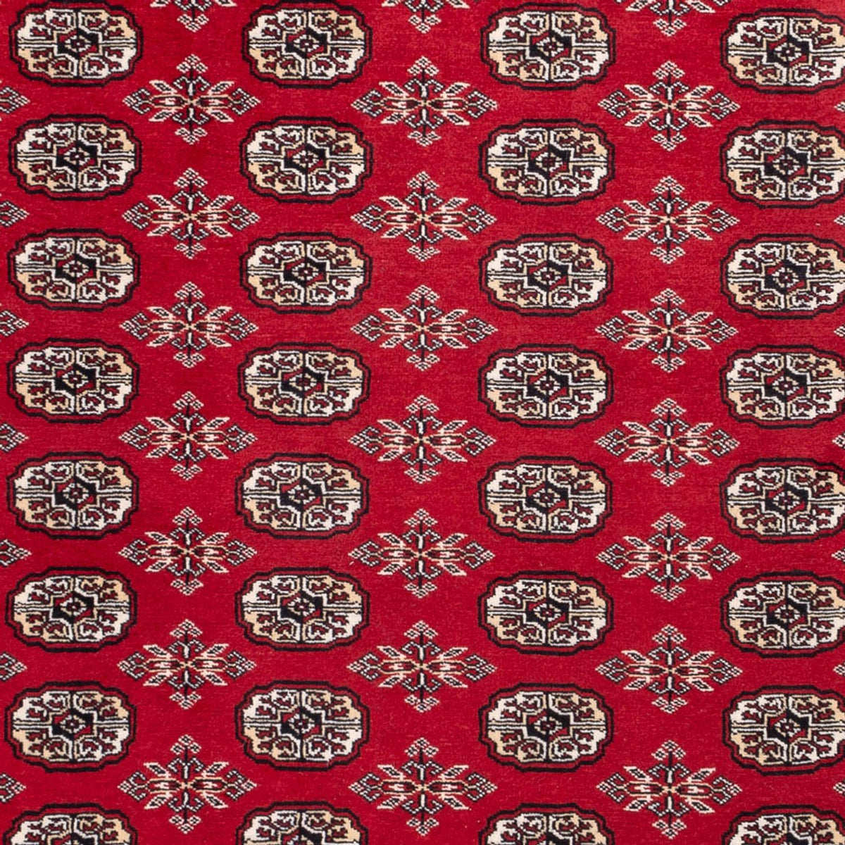 Afghan Rug - Bukhara - 302 x 199 cm - red