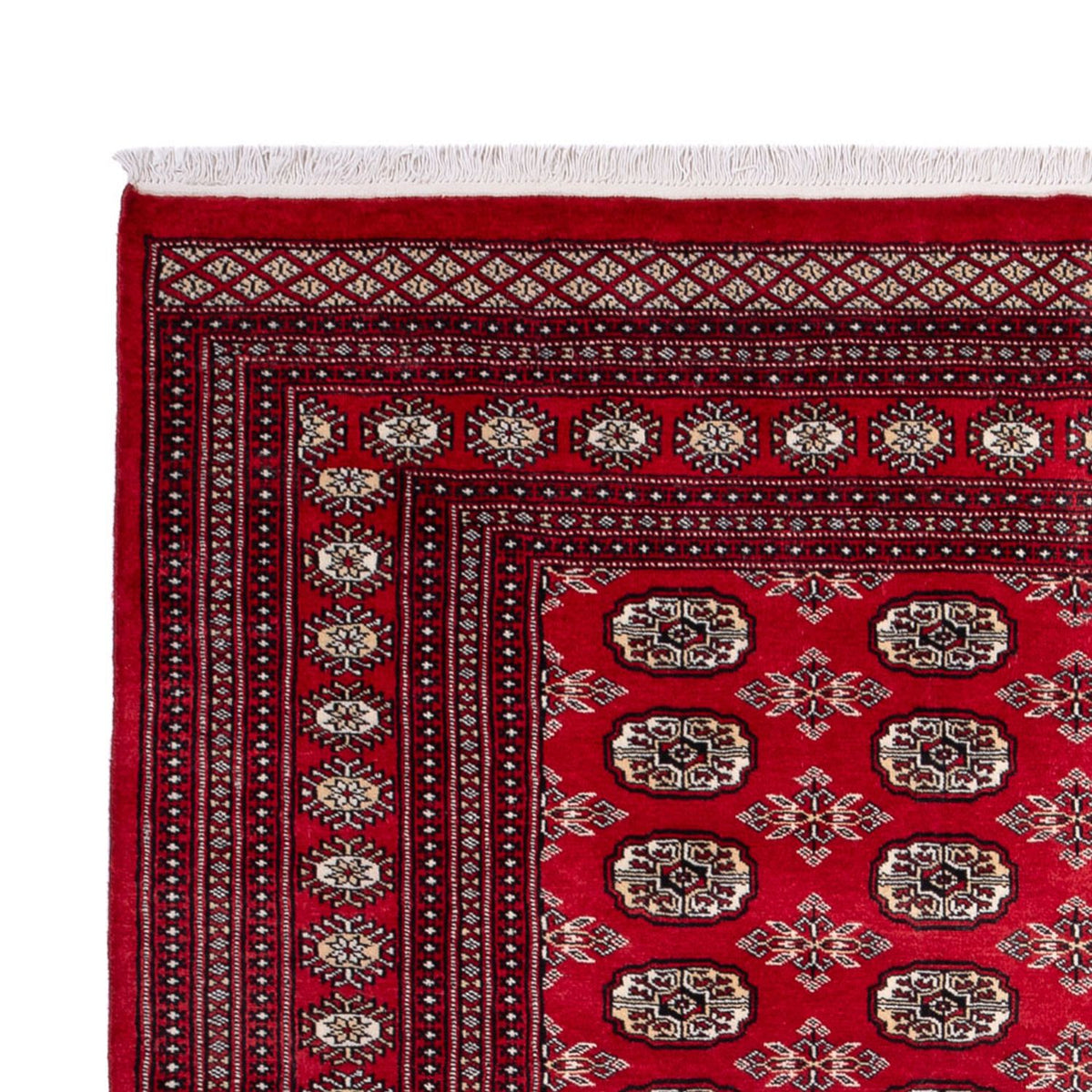 Afghan Rug - Bukhara - 302 x 199 cm - red