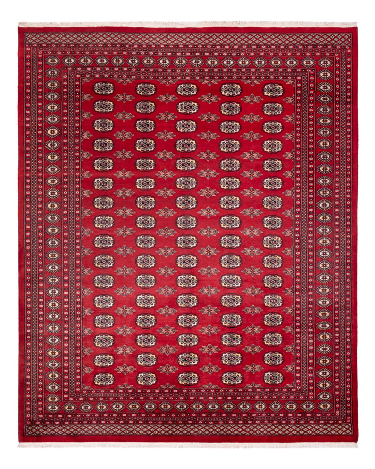 Afghan Rug - Bukhara - 307 x 247 cm - red