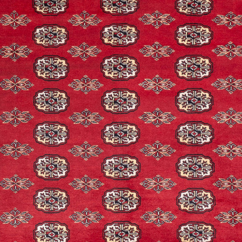 Afghan Rug - Bukhara - 307 x 247 cm - red