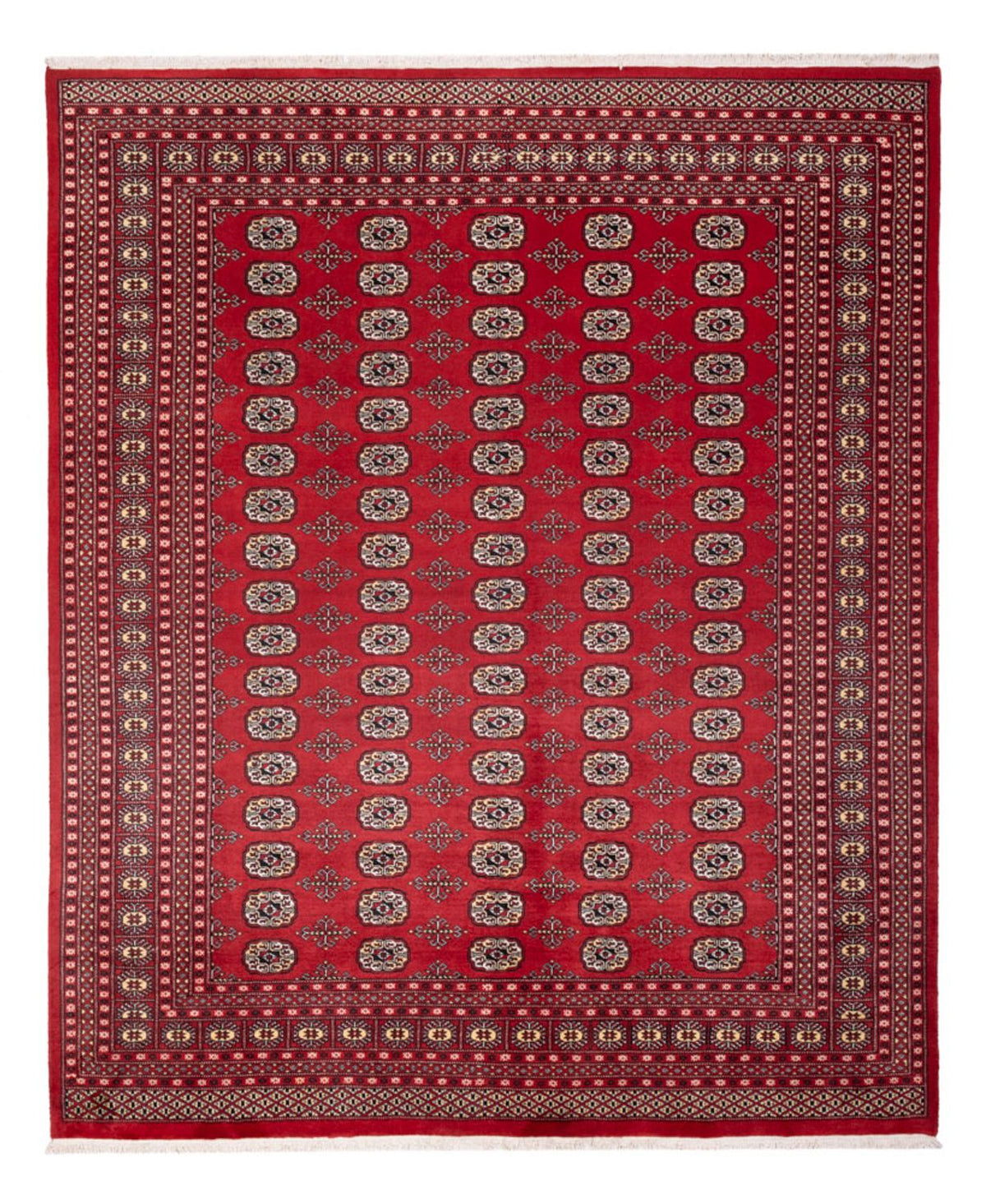 Afghan Rug - Bukhara - 298 x 243 cm - red