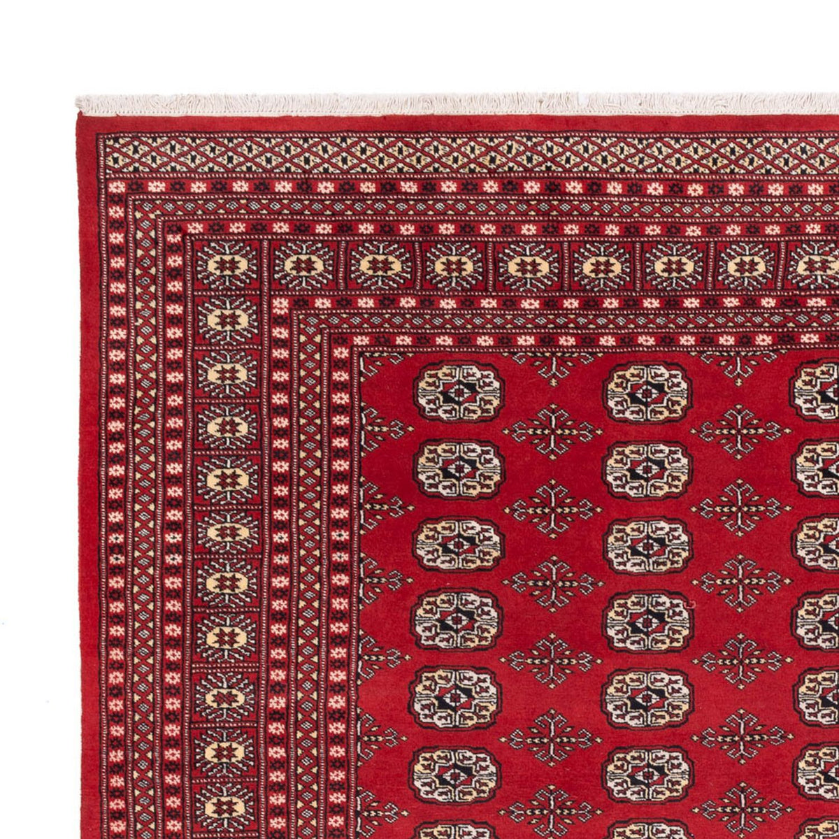 Afghan Rug - Bukhara - 298 x 243 cm - red