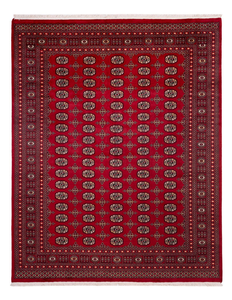 Afghan Rug - Bukhara - 308 x 243 cm - red