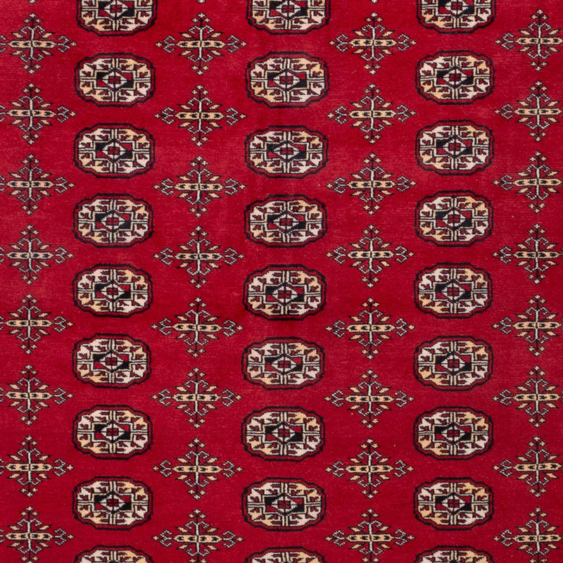Afghan Rug - Bukhara - 308 x 243 cm - red