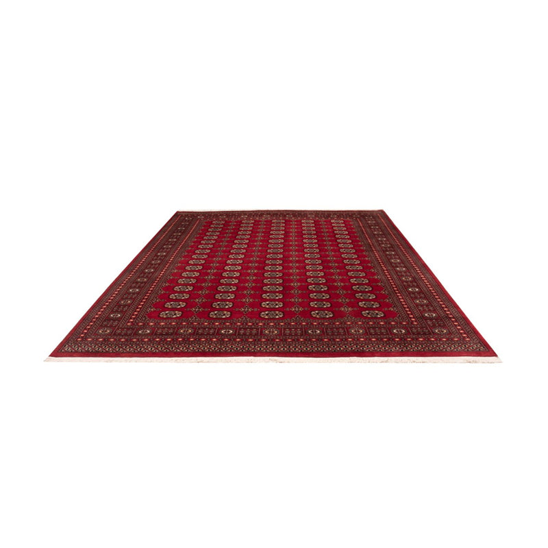 Afghan Rug - Bukhara - 308 x 243 cm - red