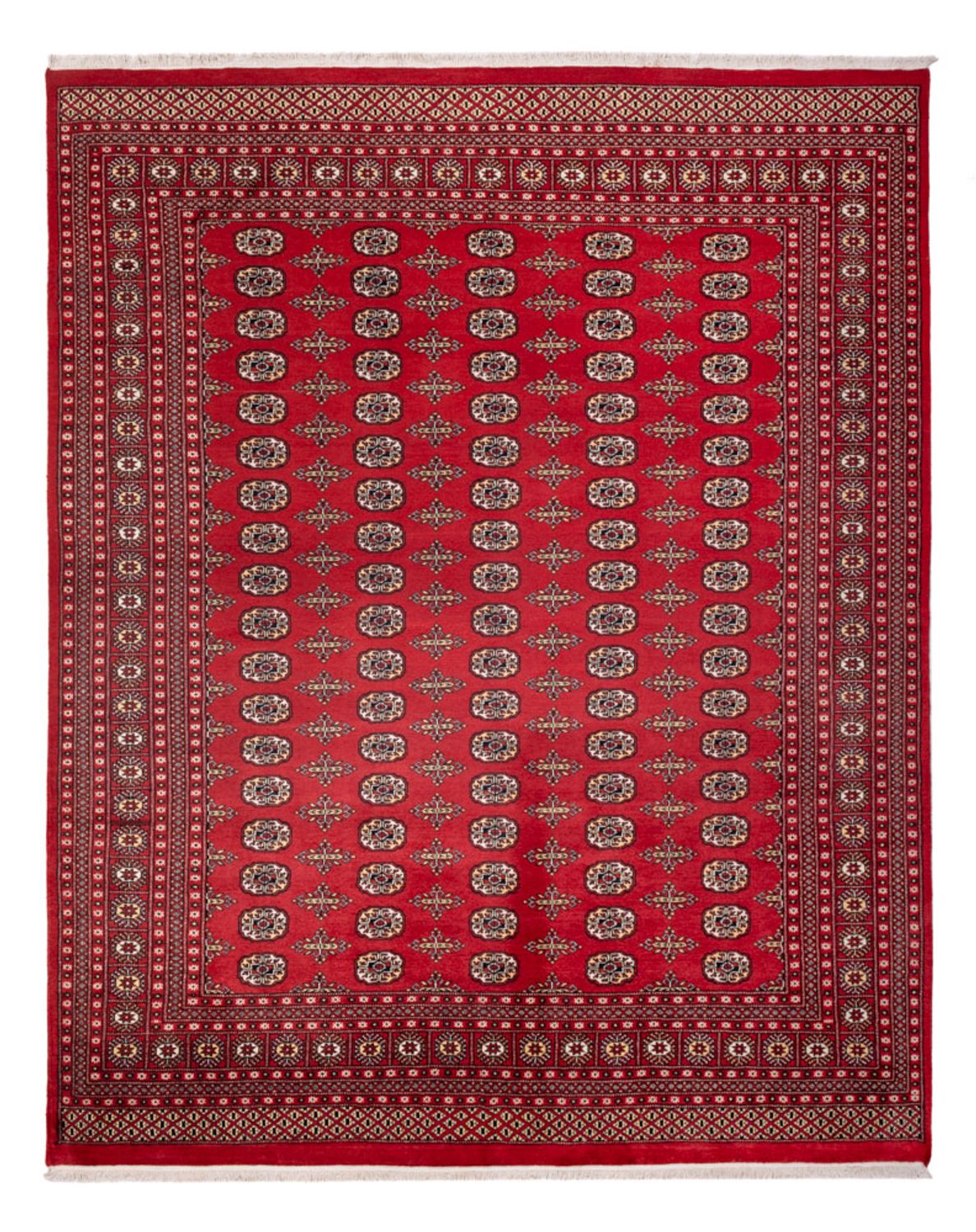 Afghan Rug - Bukhara - 312 x 244 cm - red