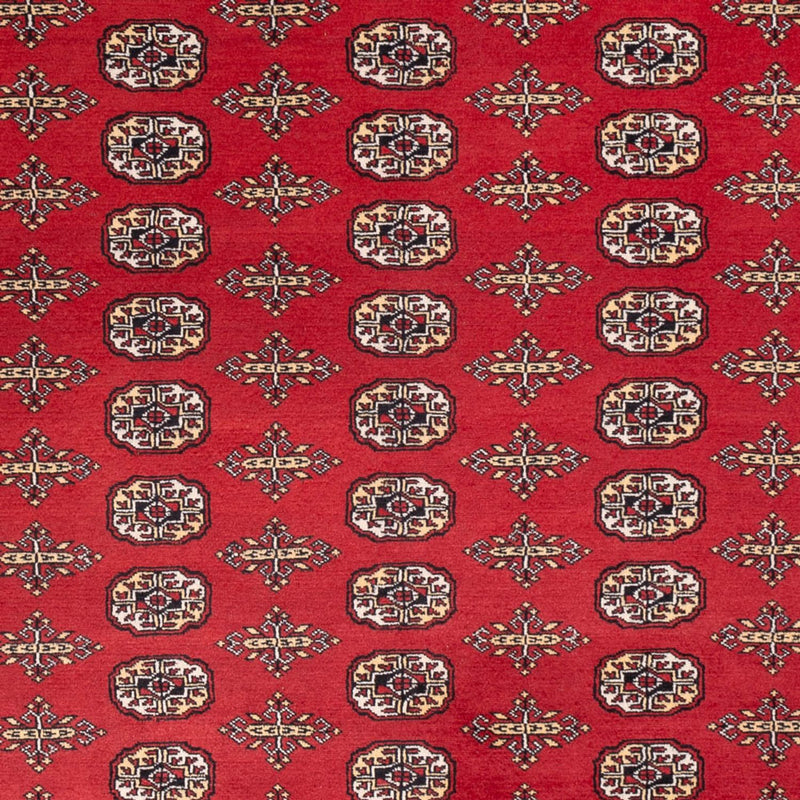 Afghan Rug - Bukhara - 312 x 244 cm - red