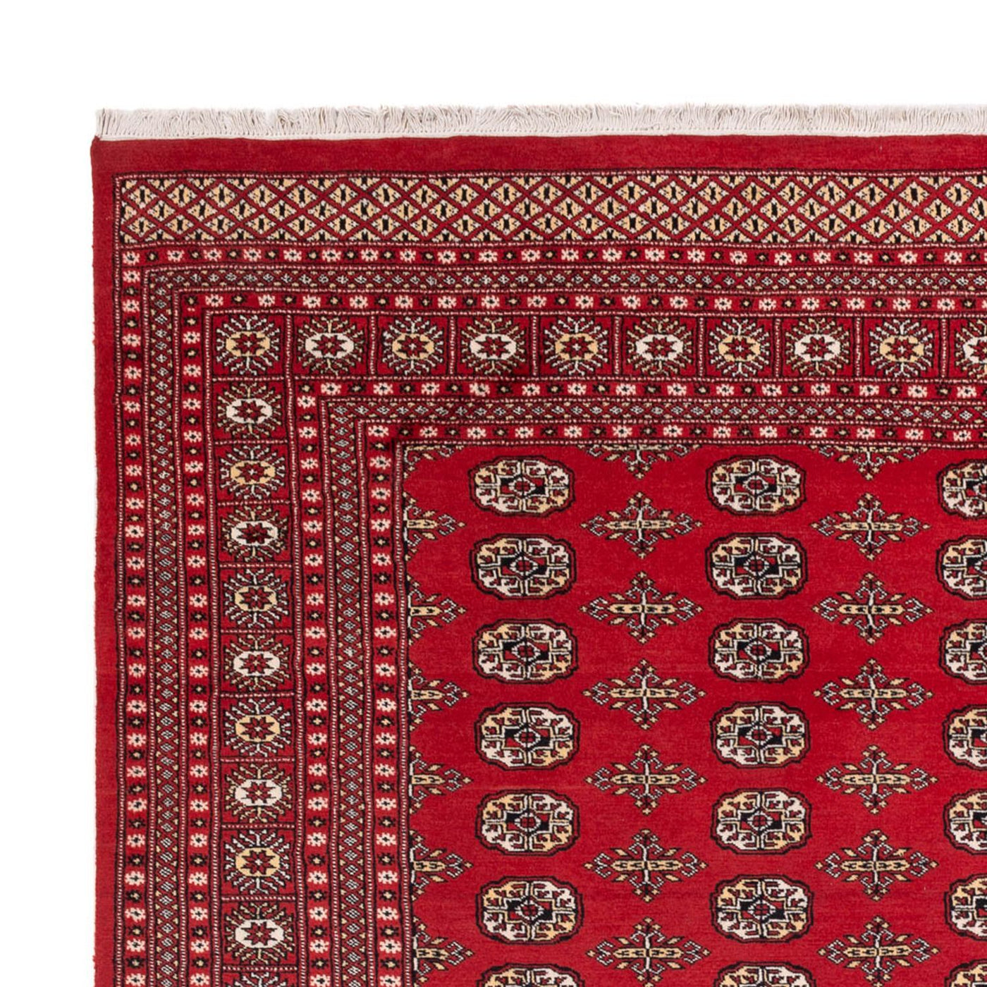 Buchara Teppich 312x244cm - Orientteppich