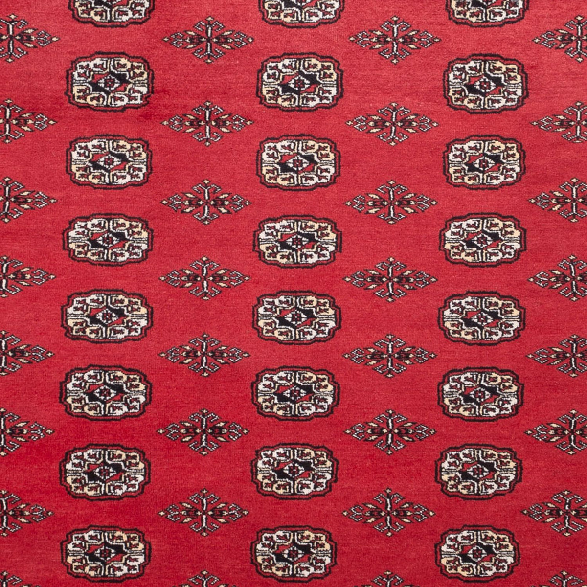 Afghan Rug - Bukhara - 305 x 246 cm - red