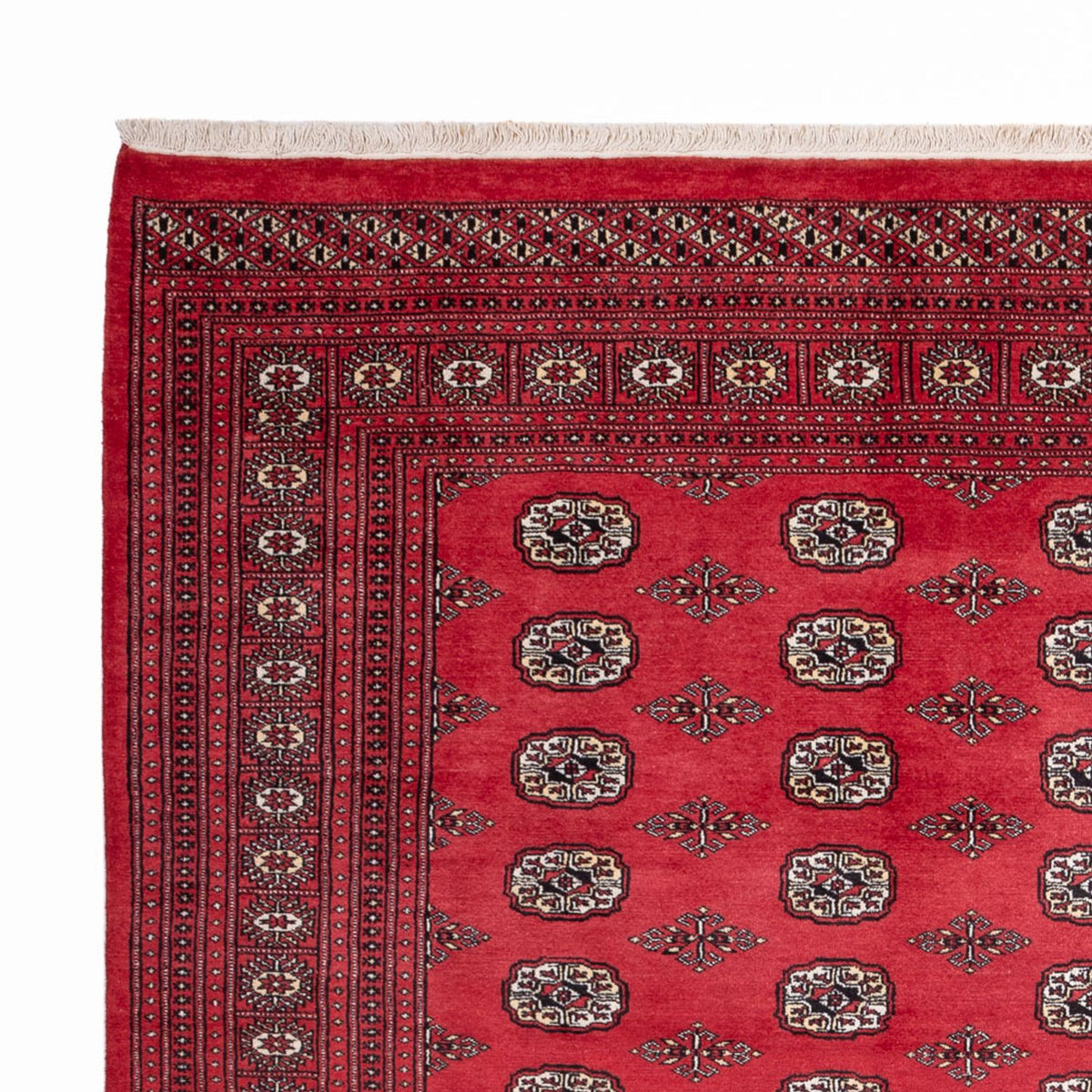 Afghan Rug - Bukhara - 305 x 246 cm - red