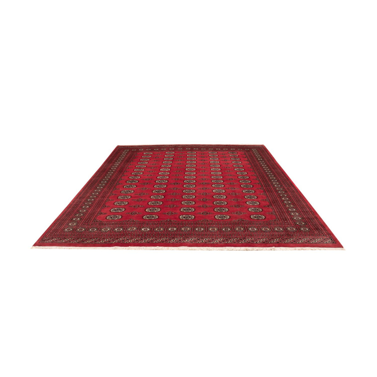 Afghan Rug - Bukhara - 305 x 246 cm - red