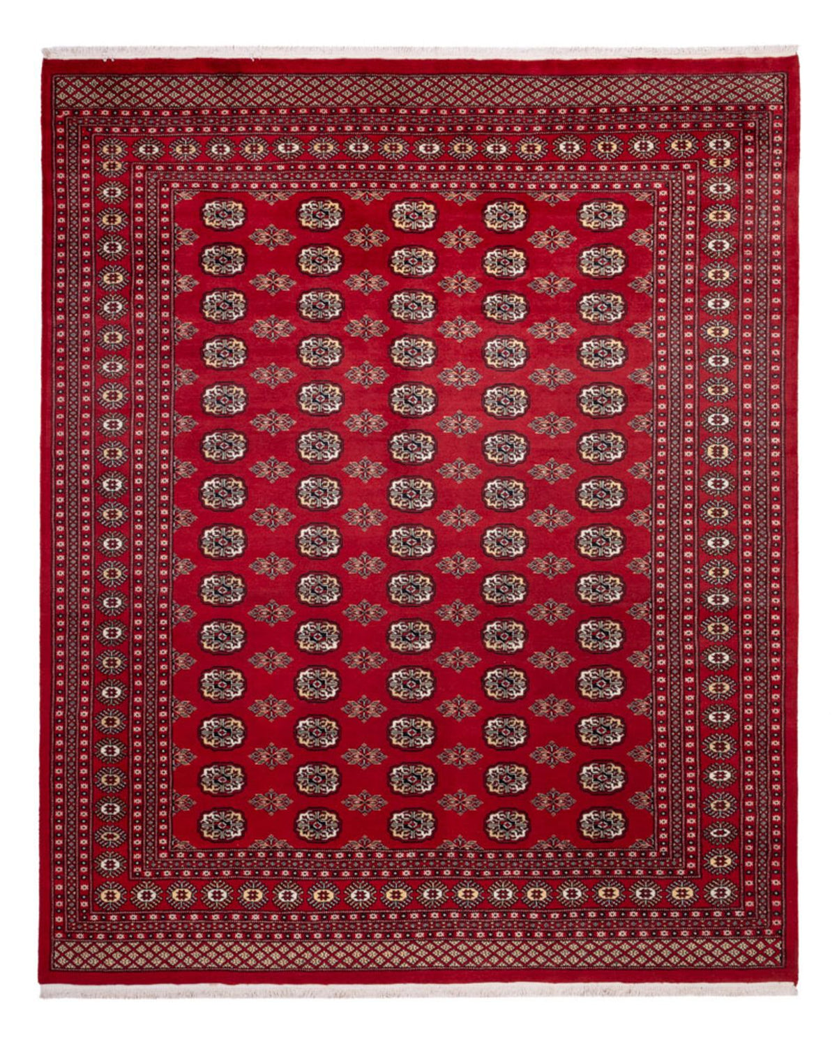 Afghan Rug - Bukhara - 301 x 245 cm - red